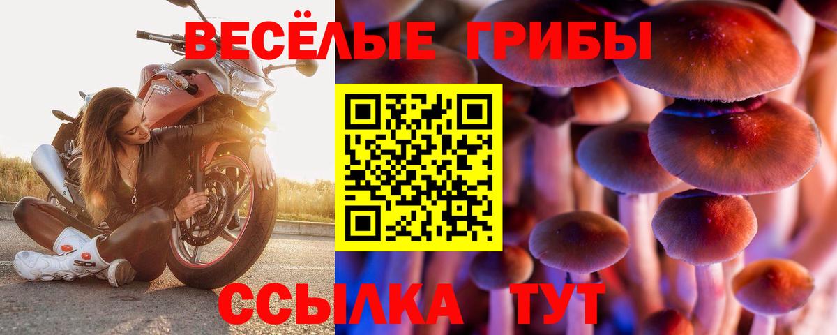 сколько стоит  Псилоцибиновые грибы GOLDEN TEACHER  Керчь  Вход с VPN  Галлюциногенные грибы MAGIC MUSHROOMS 